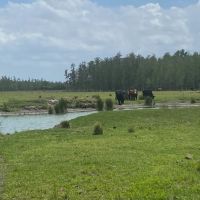 JEH Ranch images 3