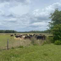 JEH Ranch images 4