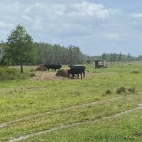 JEH Ranch images 5