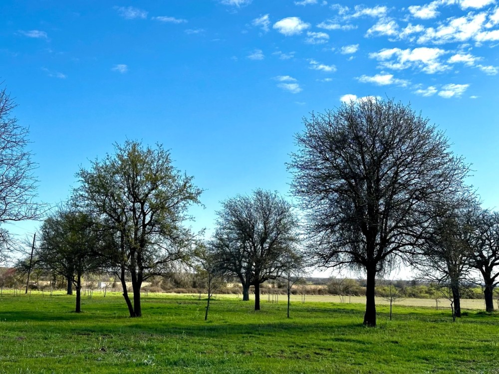 New Listing 12 - Acres Eastland County featured image