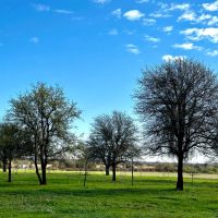 New Listing 12 - Acres Eastland County