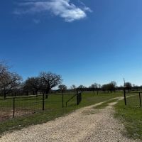 New Listing 12 - Acres Eastland County images 4