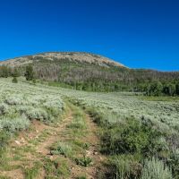 Tomichi Dome Hunting Ranch