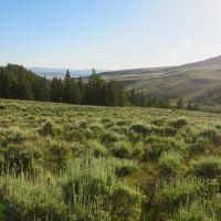 Tomichi Dome Hunting Ranch images 3