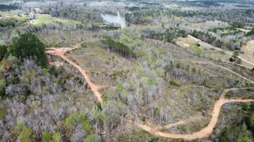 50 - Acres Chambers County featured image