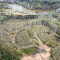 50 - Acres Chambers County images 2