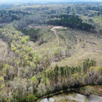 50 - Acres Chambers County images 3
