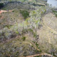 50 - Acres Chambers County images 5