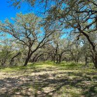 Encino Flats Ranch images 2