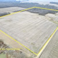 Rare income producing tillable piece in Clinton Co