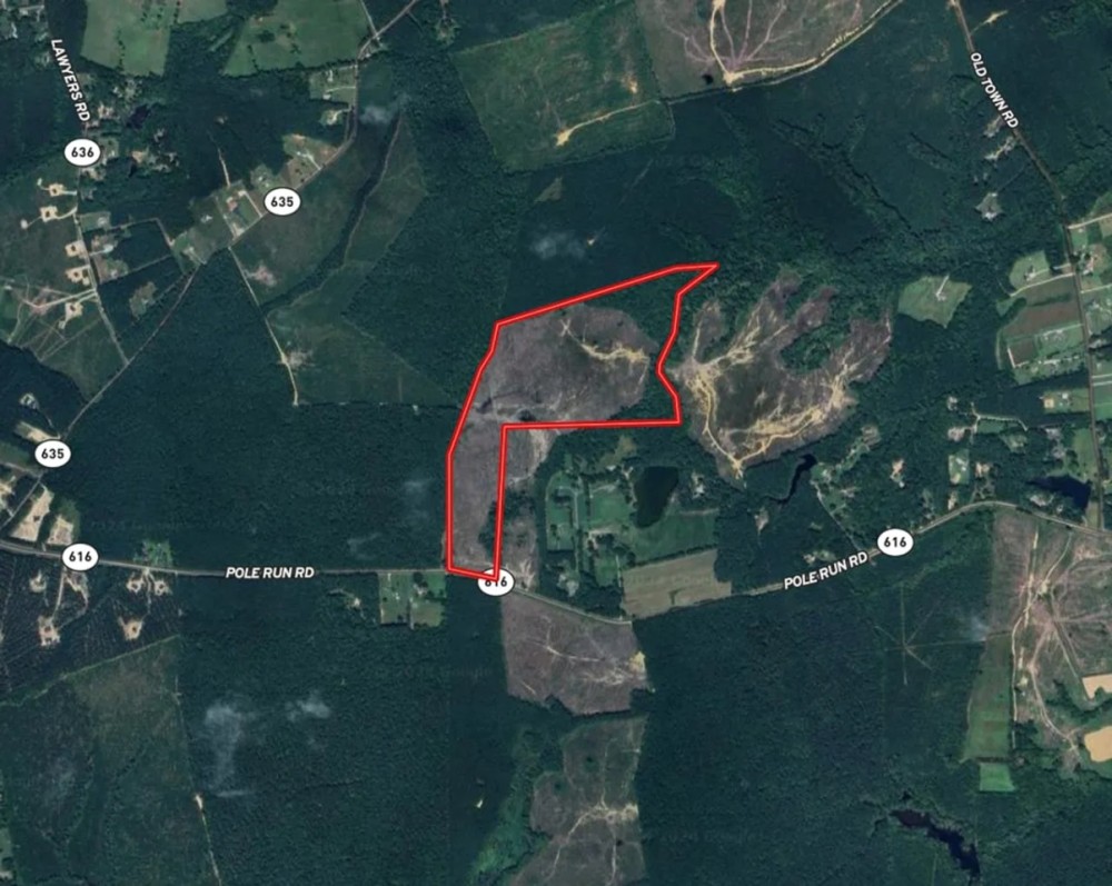 89.1 acres of Hunting and Timberland For Sale in Prince George County VA featured image