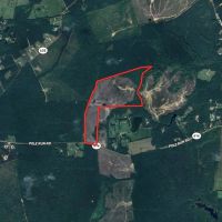 89.1 acres of Hunting and Timberland For Sale in Prince George County VA