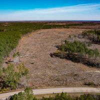 89.1 acres of Hunting and Timberland For Sale in Prince George County VA images 2