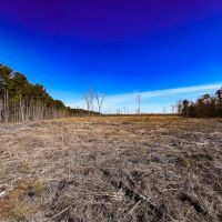 89.1 acres of Hunting and Timberland For Sale in Prince George County VA images 3