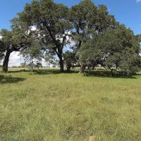 1801 FM 1383 Schulenburg TX 78956 images 4