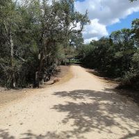 1801 FM 1383 Schulenburg TX 78956 images 5