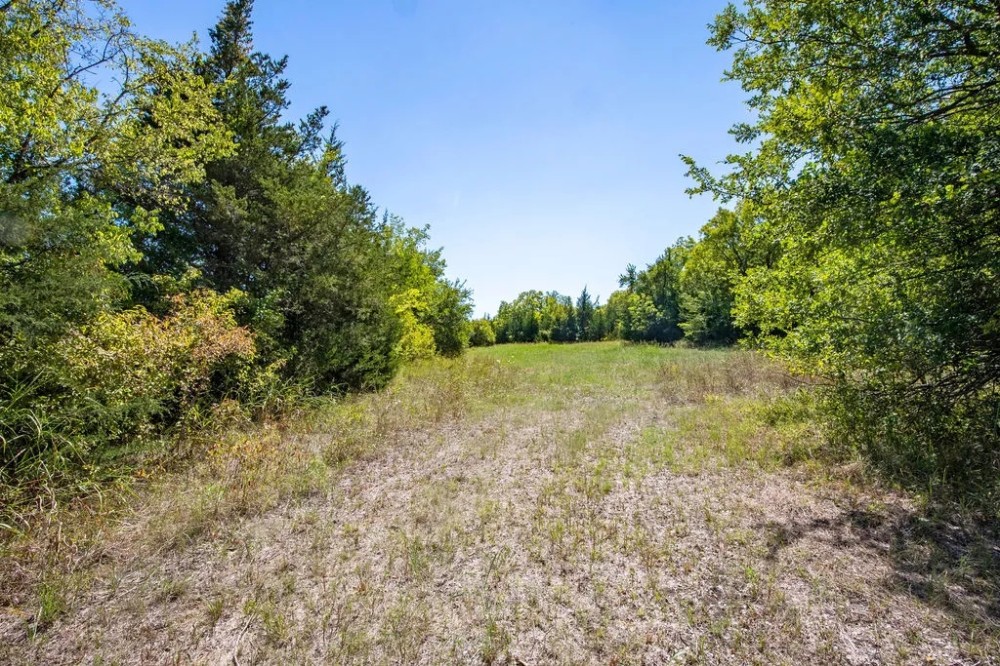 TBD FM 905 Pattonville Texas 75468 featured image