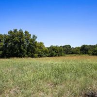 TBD FM 905 Pattonville Texas 75468 images 2