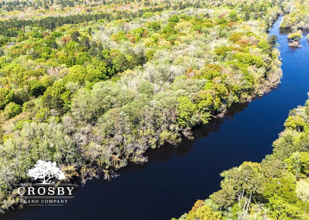 Edisto River Tract featured image