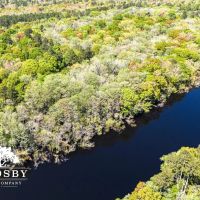 Edisto River Tract