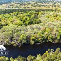 Edisto River Tract images 5