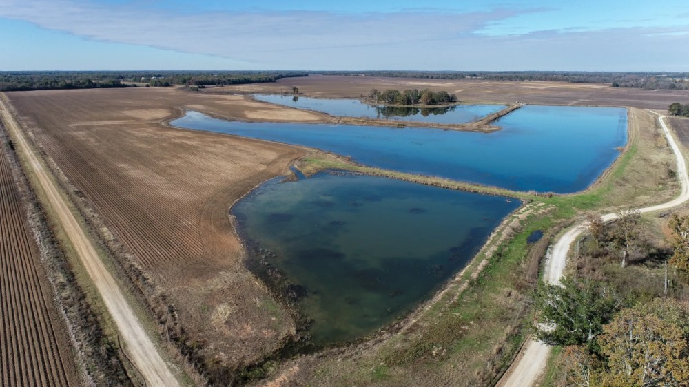 1 294 Acre Irrigated Farm featured image