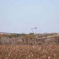 1 294 Acre Irrigated Farm images 2