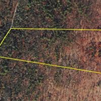 19 acres Hunting Land and Recreational Land in Hornby NY Wilson Hollow Rd images 3
