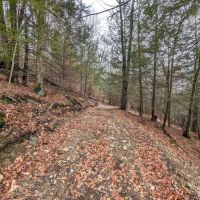 19 acres Hunting Land and Recreational Land in Hornby NY Wilson Hollow Rd images 4