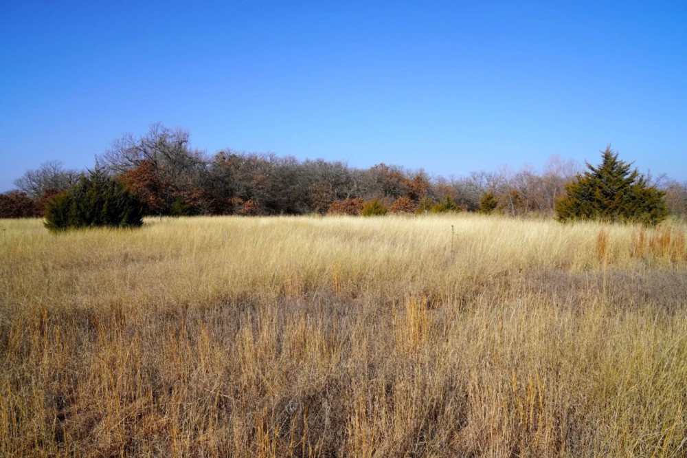 Recreational Hunting Land in Lincoln County OK for Sale featured image
