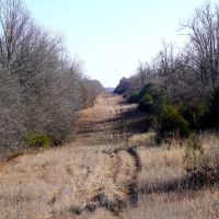 Recreational Hunting Land in Lincoln County OK for Sale images 2