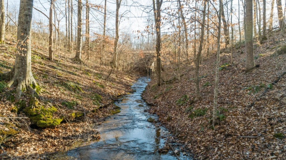 Large tract near Leipers Fork TN featured image