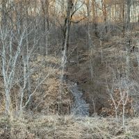 Large tract near Leipers Fork TN images 2