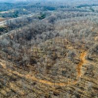 Large tract near Leipers Fork TN images 3
