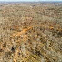 Large tract near Leipers Fork TN images 5