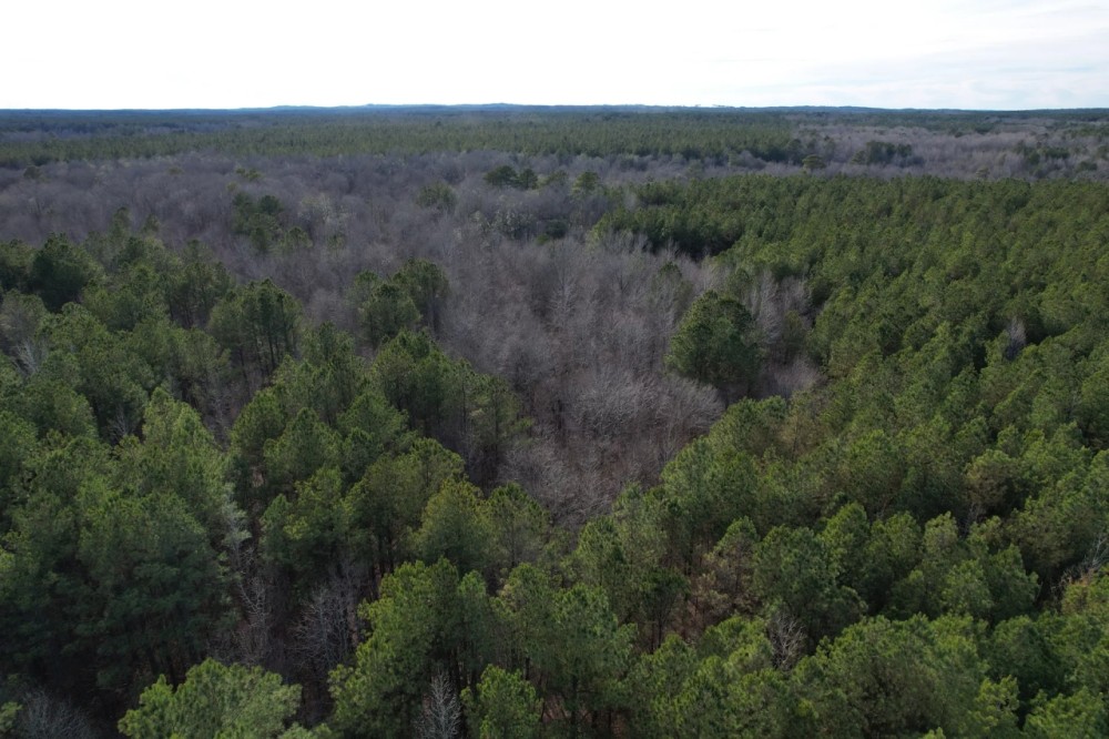 90 - Acres in Choctaw County MS featured image