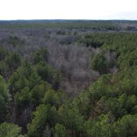 90 - Acres in Choctaw County MS