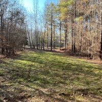90 - Acres in Choctaw County MS images 5