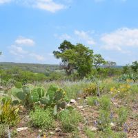 Hidden Rock Ranch images 2