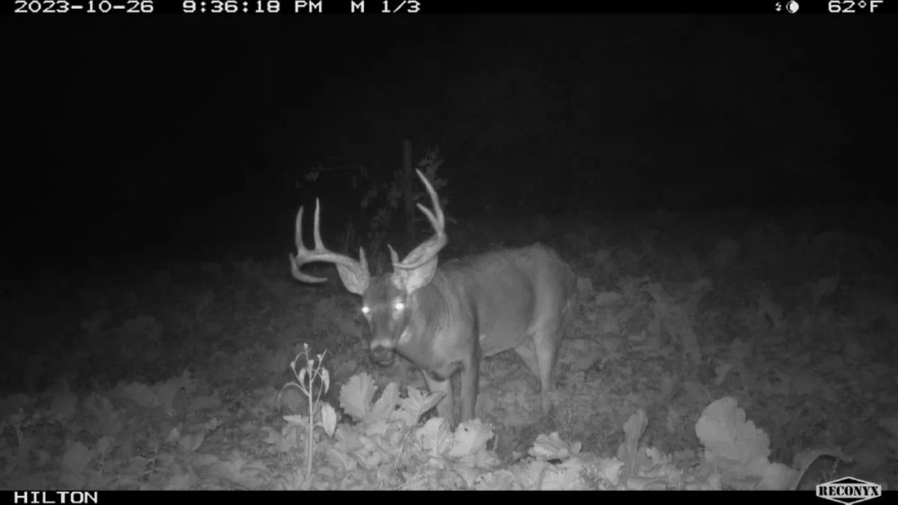 Trophy Whitetail Hunting Land for Sale in Richland County Wisconsin featured image