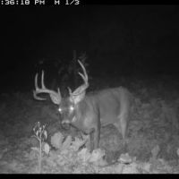 Trophy Whitetail Hunting Land for Sale in Richland County Wisconsin