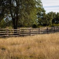 Bluff Springs Estates - Lot 6 images 2