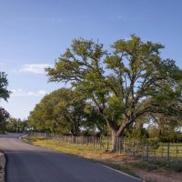 Bluff Springs Estates - Lot 6 images 3