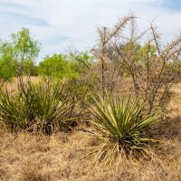 Yar-Bar-O Ranch images 5