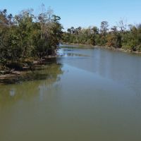 160 - acres Hecker LA 70657 images 3