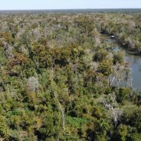 160 - acres Hecker LA 70657 images 5