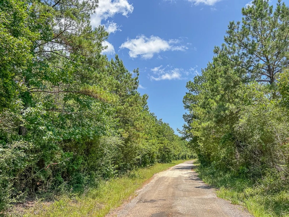 56 Acres CR 364 T-2 featured image