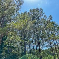 27 Acres T-13 Saron images 3