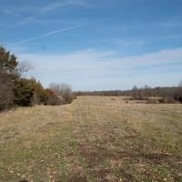 Monroe County Missouri 262 Acres For Sale images 5