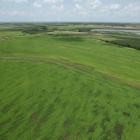 347 Acres- 0 FM 1410 Winnie TX 77665 images 3